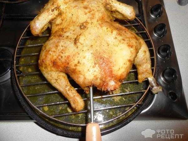 Курица в микроволновке - как быстро и вкусно готовить целиком, бедрышки, крылья или окорочка с фото