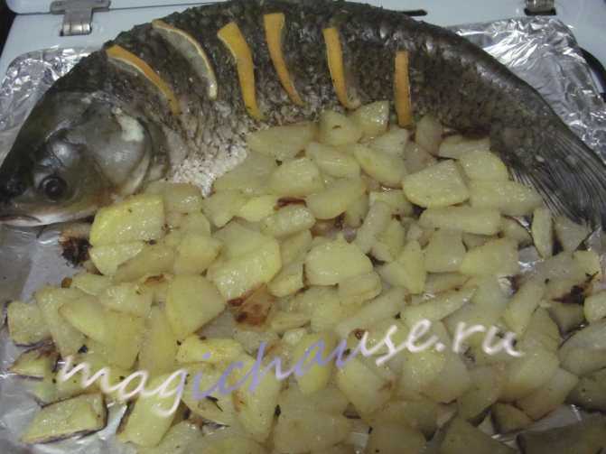 Белый амур: польза и вред. рецепты приготовления: как пожарить на сковороде и запечь в духовке. костлявый или нет: вкусовые качества рыбы
