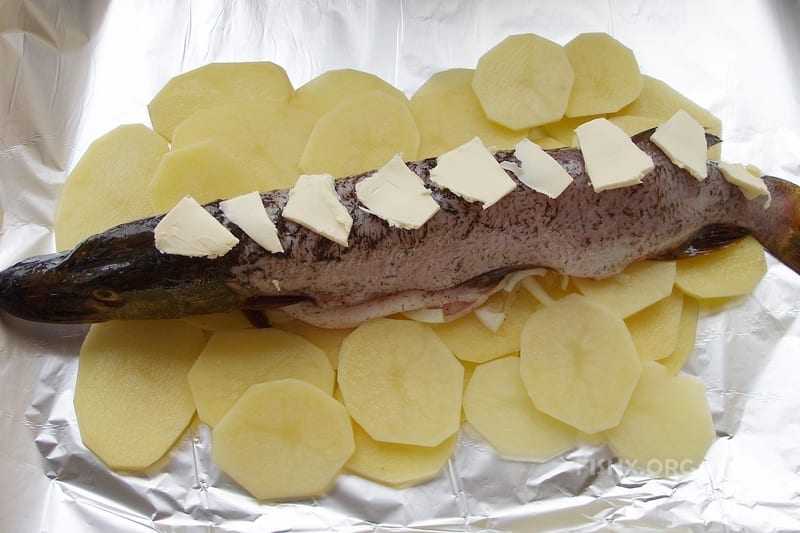 Мойва в духовке с корочкой, луком, картошкой, без масла, муки. рецепты с фото