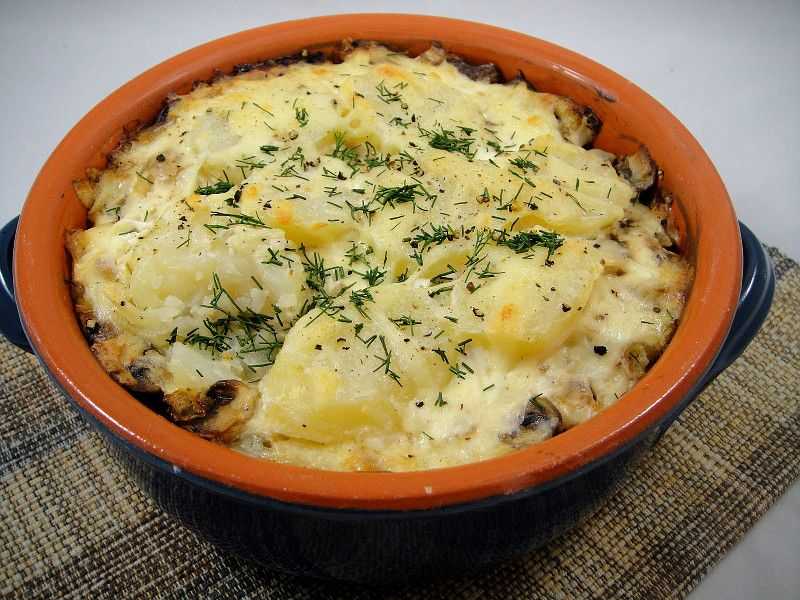 Картофельная запеканка с грибами в духовке — 5 рецептов вкусной запеканки