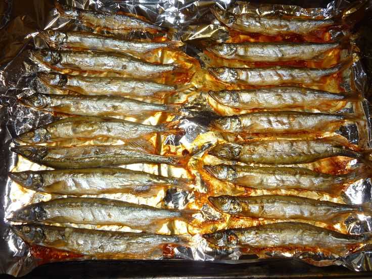 Мойва в духовке: «кошачья» рыбка может стать деликатесом, если её правильно приготовить! рецепты приготовления мойвы в духовке