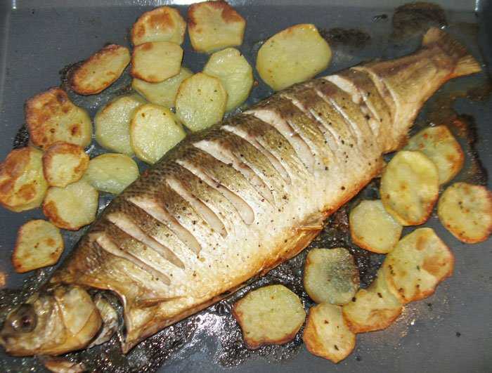 Рыба муксун: пошаговые рецепты с фото для легкого приготовления