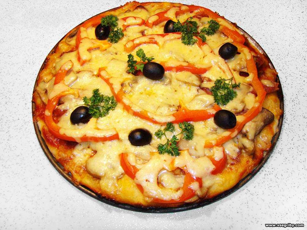 Пицца с грибами 🍄🍛 (11 рецептов)