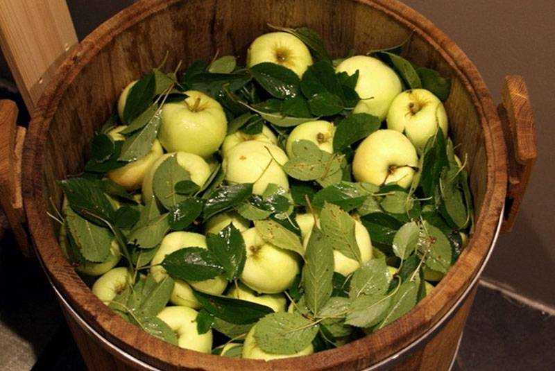 Запеченные фаршированные яблоки рецепт с фото - 1000.menu