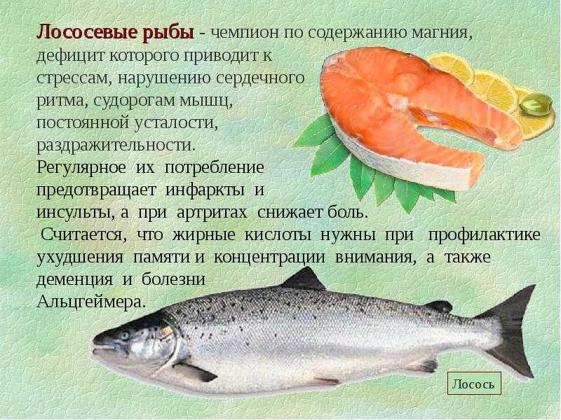 Рыба на гриле: рецепт приготовления. маринад для рыбы на гриле :: syl.ru