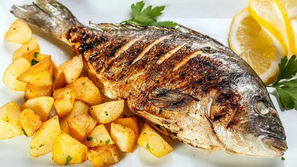 Дорадо на гриле (11 фото): как приготовить по рецепту рыбу на гриль-сковороде, электрогриле или в духовке? калорийность блюда