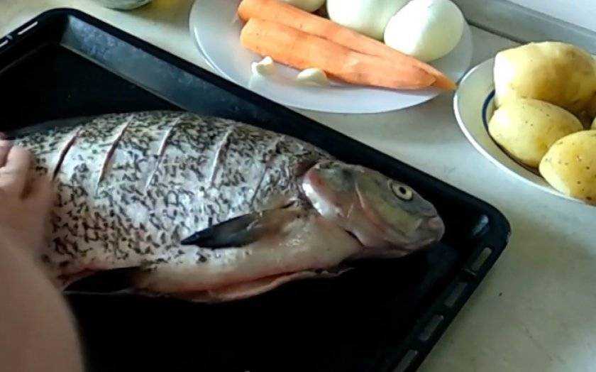 Лещ, запеченный в духовке — 5 рецептов запекания рыбы