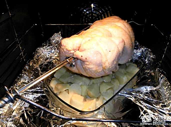 Курица гриль в духовке: рецепт с фото пошагово. как приготовить курицу гриль в духовке на вертеле целиком?