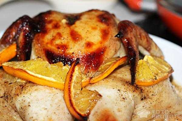 Как приготовить курицу с апельсинами в духовке: поиск по ингредиентам, советы, отзывы, пошаговые фото, видео, подсчет калорий, изменение порций, похожие рецепты
