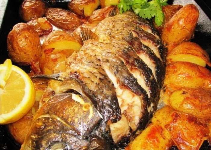 Речная рыба в духовке: 12 рецептов от опытных поваров