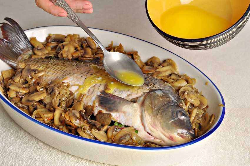 Как приготовить речную рыбу запеченную в духовке: поиск по ингредиентам, советы, отзывы, пошаговые фото, подсчет калорий, изменение порций, похожие рецепты