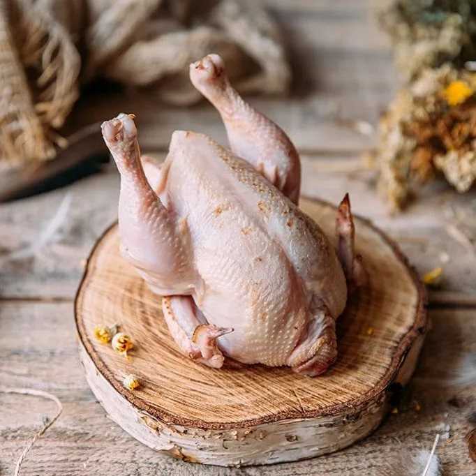 Рецепты фаршированный цыпленок