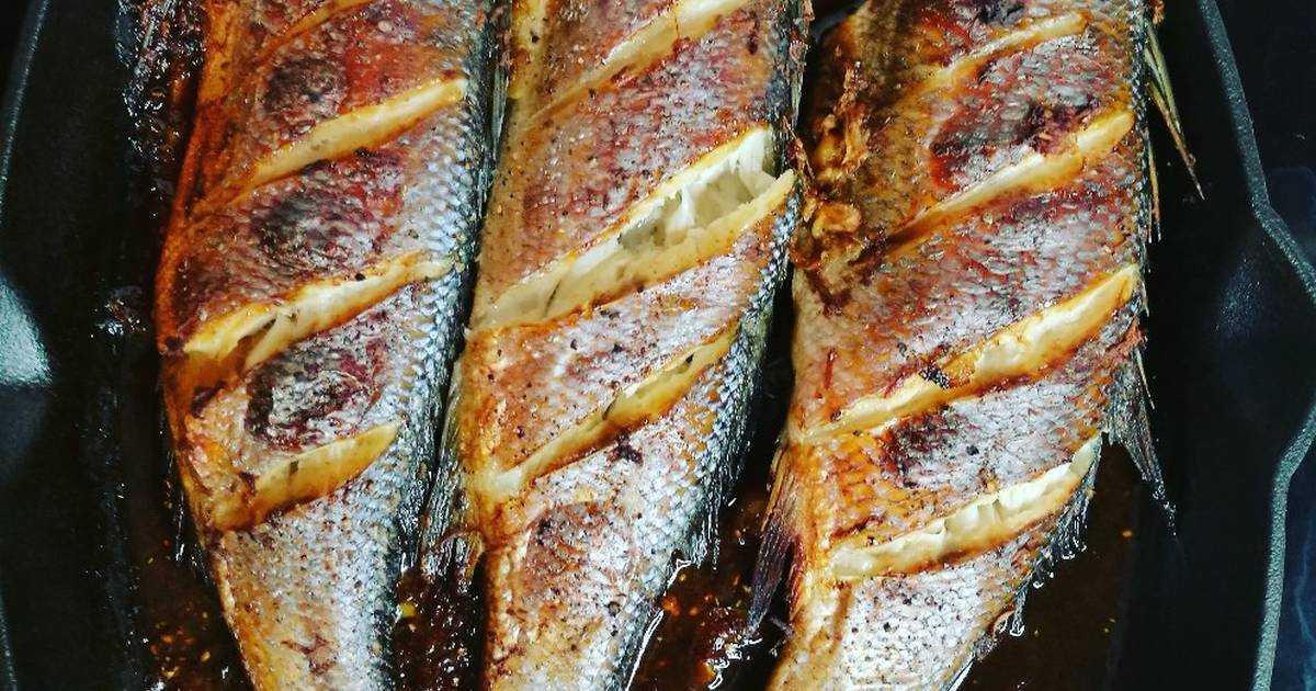 Запеченная рыба в духовке — 15 рецептов для праздничного и повседневного меню